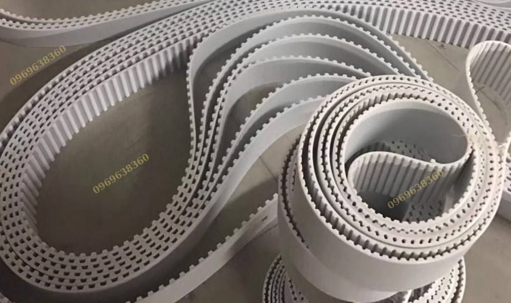 Dây Curoa Răg L Xl XXL Pu Nhập Khẩu